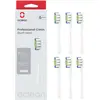 Oclean, Zahnbürstenkopf, Professional Clean (6x)