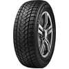 Delinte Winterreifen WD1 ( 205/55 R16 91H )
