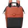 DELSEY PARIS Rucksack Freizeitrucksack Turenne Soft Backpack 14" 24L B...