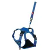 Zolux Easyride Hondentuig Blauw (M, Hund, Spazieren), Halsband + Leine