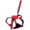 Zolux Easyride Hondentuig Rood (M, Hund, Spazieren), Halsband + Leine
