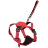 Zolux Easyride Hondentuig Rood (L, Hund, Spazieren), Halsband + Leine