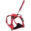 Zolux Easyride Hondentuig Rood (XL, Hund, Spazieren), Halsband + Leine