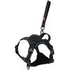 Zolux Easyride Hondentuig Zwart (XL, Hund, Spazieren), Halsband + Lein...