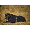 Diego & Louna Teddy Hundejacke