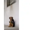 Diego & Louna Teddy Nylon Hundejacke