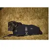 Diego & Louna Teddy Hundejacke