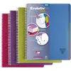 Clairefontaine, Heft + Block, Evolutiv'Book (A4+, Liniert, Weicher Ein...