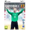 Pc Games Pc Handball 17