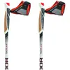 Tsl Outdoor Tactil C100 Spike Stöcke 105 cm / S