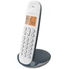 Schnurloses Festnetztelefon - LOGICOM - DECT ILOA 150 SOLO - Schiefer ...