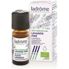 Ladrome Ladrôme Bio Ätherisches Öl Echter-Lavendel (Lavandula angustif...