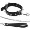 Verstellbares Schwarzes Halsband Mit Ring, Spikes Und Band