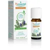 Puressentiel Ätherisches Öl Sibirische Tanne 69.3 cm