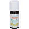 Puressentiel Bio Ätherisches Öl Helichrysum (Helichrysum italicum) 5 m...