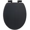 Leise schließender Toilettensitz ONYX, 37,5 x 49,9 x 5,2 cm