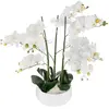 Atmosphera Orchid Jj1683 Blumentopf