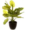 Atmosphera Jj3031 Blumentopf