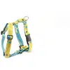 Hundegeschirr Martin Sellier M Blau 25 mm