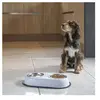 Lola Toys doppelte rutschfeste Schüssel aus Edelstahl mit Me, Futterna...