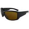Julbo Whoops Photochrome Polarisierte Sonnenbrille Cameleon Antifog Po...
