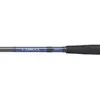 Spinnrute Daiwa Labrax SB 802 HFS Schwarz 2,44 m