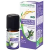 Naturactive Ätherisches Öl von Bergbohnenkraut (Satureja Montana L.) B...