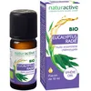 Naturactive Ätherisches Öl Pfefferminz-Eukalyptus (Eucalyptus radiata ...