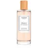 Chanson Chanson d'Eau Peach Eau De Toilette 100 ml (woman)