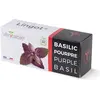 Véritable, Samen, Lingot Purpur Basilikum BIO (Kräutersamen)