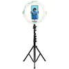 AgfaPhoto 11 Zoll Ringlicht mit 155-cm-Stativ und Fernbedienung