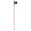 Nordic Walking Stock Guidetti Vent des Fjords UT70 Steppe Rosa 110 cm