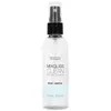 Mixgliss - Clean - Spielzeugreiniger 100 ml