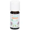 Puressentiel Ätherisches Öl Borneol-Thymian (Thymus Saturejoides) Bio ...