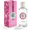 Perfume Unisex Roger & Gallet Ingwer EDP 100 ml