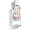 Perfume Unisex Roger & Gallet Persische Mandel EDP 100 ml