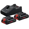 Starter-Set 2 x ProCORE18V 4.0Ah + GAL 18V-40