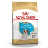 ROYAL CANIN Breed Health Nutrition CAVALIER PUPPY WELPE 1,5 kg Trocken...