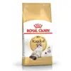 Royal Canin Ragdoll Adult, Adult, Ragdoll-Katze, 2 kg