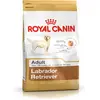 Royal Canin Labrador Retriever Adult, Adult, Labrador Retriever, Groß ...