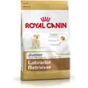 Royal Canin Labrador Retriever Junior, Welpe, Labrador Retriever, Groß...