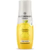 Zitrone ohne Zucker Sirup