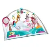 Tiny Love Princess Tales Teppichaktivitäten