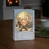 LED-Tischdeko Wasserlaterne Buch mit Vögeln