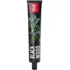 Splat, Zahnpasta, Blackwood (75 ml)