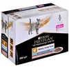 Purina Nf Nierenfunktion Katzen-nassfutter Mit Lachs 85g