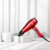 Professioneller Haartrockner Valera Swiss Power4ever 2400 W TU
