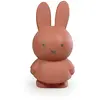 Sparschwein miffy warm Atelier Pierre Junior 19 cm TU
