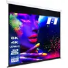 eSmart Professional MIROLO Rollo Leinwand 304,8 cm 120 Zoll