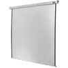 Celexon Motor Professional, Leinwand, 1:1 (131.10", 1:1), Leinwand, We...